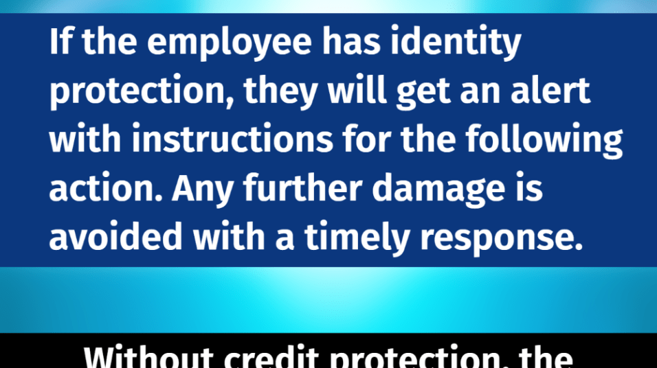 personal_data_infographic